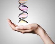 Epigenetics and Nuclear Signaling